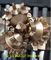 TCI Tricone drill bits for oil well drilling tool supplier