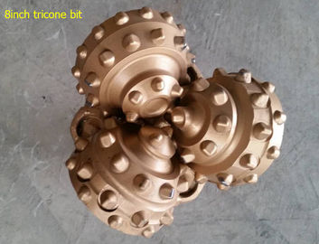 China 8inch Hard rock tricone drill bit / tricone dril bit have a large stock supplier