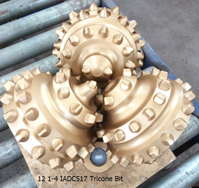 12 1/4inch TCI Tricone bit ,Oil Field Drilling Equipments supplier